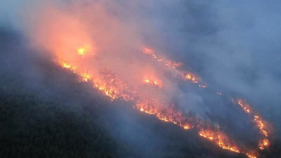 Muğla'daki orman yangınlarına 'sabotaj' soruşturması