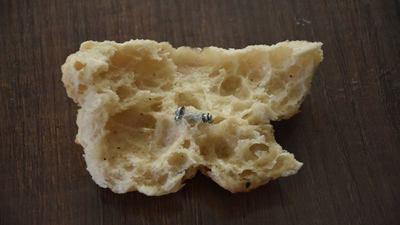 Pidenin içinden çıkan şoke etti: Tam 3 santim