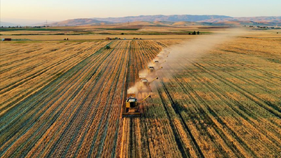 Tarım ürünleri üretici fiyatlarında artış son 20 ayın zirvesine ulaştı