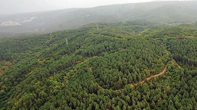 Turizm torbası tehditi: Kıyılar ve ormanlar tahrip edilecek