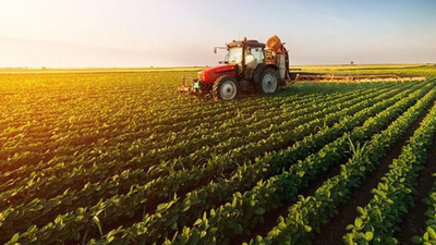 Türkiye tarım alanlarını kaybediyor