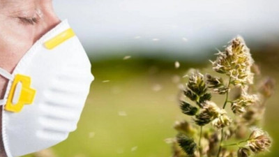 Uzmandan 'polen' uyarısı: Koronavirüsü tetikliyor, bağışıklığı düşürüyor