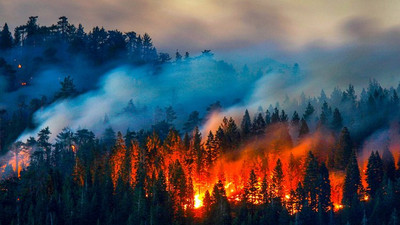 4 yılda İstanbul büyüklüğünde ormanlık alan yangınlarla kül oldu