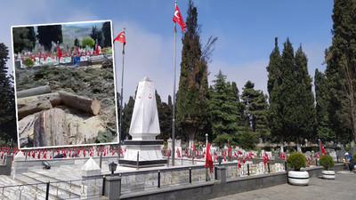 AKP'li belediye şehitlikteki selvi ağaçlarını kesti