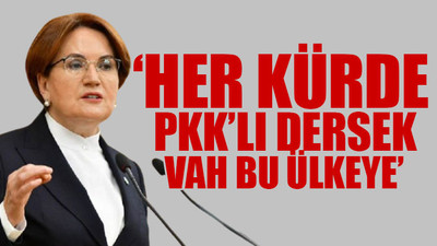 Akşener: Bir kişinin iki dudağının arasına sistemi verince sistem kilitleniyor
