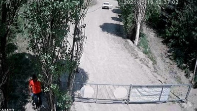 Ankara'da köpeğe tecavüz iddiası: Mansur Yavaş devreye girdi