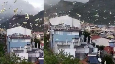 Çanakkale'de fırtına nedeniyle bir evin çatısı uçtu