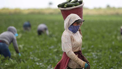 Çiftçilerin görev belgesi almasına gerek yok
