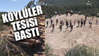 ‘Geçiş garantili’ otoyol için taş ocağı: Şirket ağaç katliamı yaptı