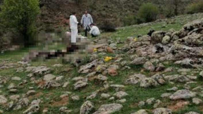 ‘Hayvan otlatma’ kavgasında baba-oğlu öldürdü