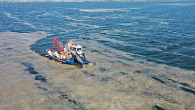 İzmit Körfezi’nden 100 ton deniz salyası toplandı