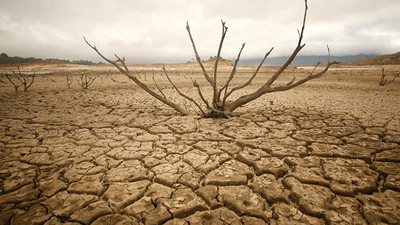 Kuraklık alarmı: Ürün kaybı yüzde 80