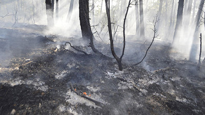 Kütahya'da orman yangını: 1,5 dönümlük alan zarar gördü
