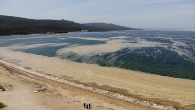 Marmara Denizi’nde deniz salya kabusu