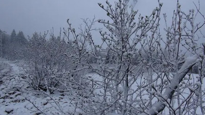 Mayıs ayında kar sürprizi