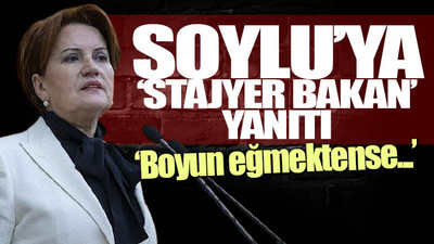 Meral Akşener’den 'Sedat Peker' açıklaması: Ortaya çıkanlar tam bir rezalet...