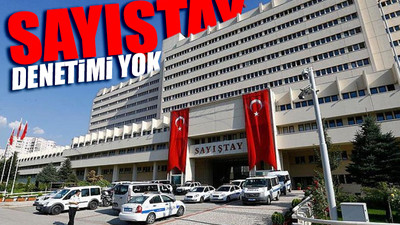 Rant projelerinin denetimine engel