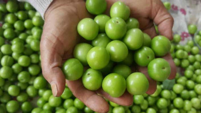 'Tam kapanma' erik üreticisini de vurdu