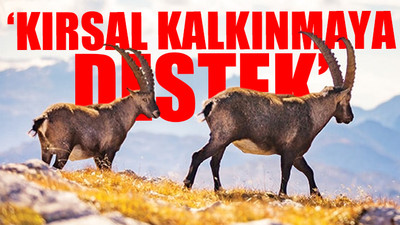 Tarım Bakanlığından pes dedirten 'av ihalesi' savunması