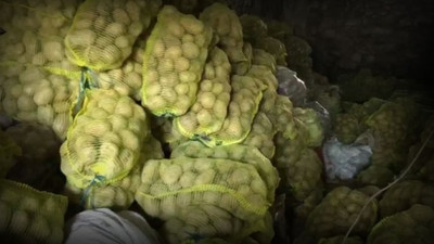 TMO alımı durdurdu: 100 bin ton patates çürümeye terkedildi