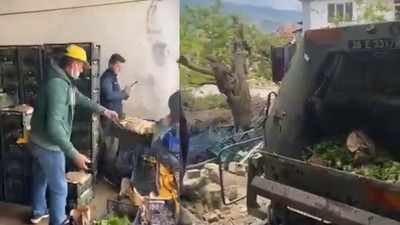 Üretici isyan etti: Tonlarca yeşillik çöp oldu