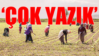 2020'de çiftçiye ödenen paranın 3 katı fazlasının; Rus, Kanada, Arjantin, Ukrayna, Brezilya çiftçisine ödendiği ortaya çıktı