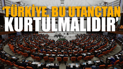 5 ülkeden TBMM'ye 'İstanbul Sözleşmesi' çağrısı