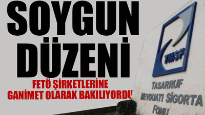 7 kayyuma ödenen maaş dudak uçuklattı... Dönemin TMSF yetkilisinden bomba iddia ve ifşalar