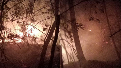 Adana'da orman yangını