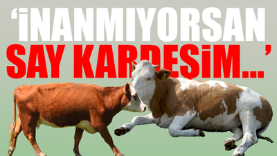 AKP-CHP arasında '18 milyon büyükbaş hayvan' tartışması