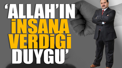 AKP'li vekil, kadına yönelik şiddetin 'nedenini' açıkladı