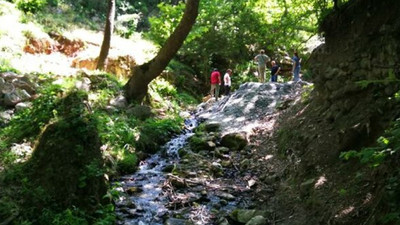 Asırlık çınar ağaçları ve su kaynakları maden tehdidi altında