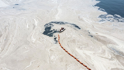 Bakan Kurum: 4 bin 202 metreküp müsilajı temizledik