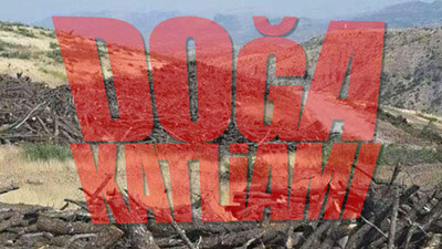 'Binlerce ağacı kesen şirketin sahibi AKP'li vekilin babası' iddiası