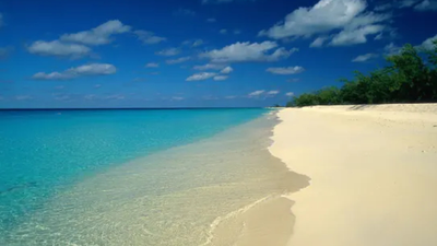 Bir gemide 20 ceset bulundu