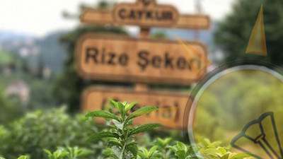 Çaykur'da AKP döneminde rekor zarar