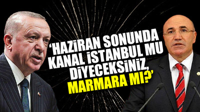 CHP'li Tanal'dan Dünya Çevre Günü'nde Erdoğan'a zor soru