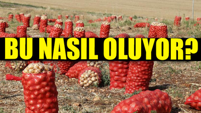 Çiftçi yok parasına satıyor; yurttaş pahalılıktan alamıyor