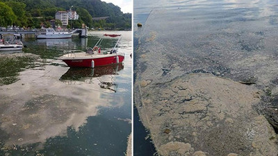 Deniz salyası Karadeniz’e sıçradı