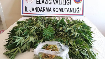 Elazığ'da zehir tacirlerine operasyon, 17 kilo esrar ele geçirildi