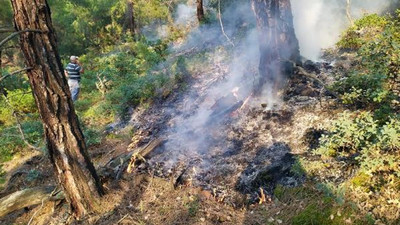 Eskişehir'de 2 noktada çıkan orman yangınları erken müdahaleyle söndürüldü
