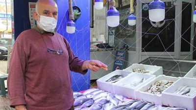 Hırsız martılar bezdirdi, balık satıcıları böyle önlem aldı