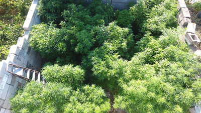 İzmir'in 11 ilçesinde uyuşturucu operasyonu: 7 gözaltı