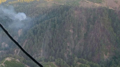 Kahramanmaraş'ta orman yangını