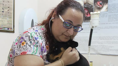 'Kedi, köpeğe taktığınız çipi kızıma da takabilir misiniz?'