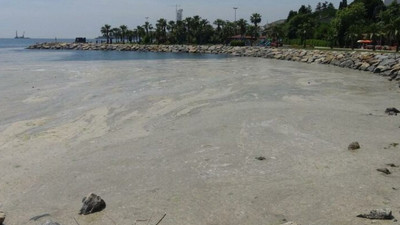 Kocaeli Darıca'da denize girmek yasaklandı