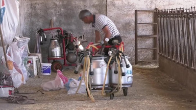 Kurban Bayramı öncesi besiciler dertli: Hiç bu kadar sıkıntı görmedim