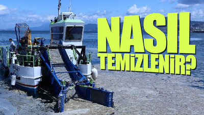 Marmara için ürküten açıklama: Deniz öldü ve patladı...