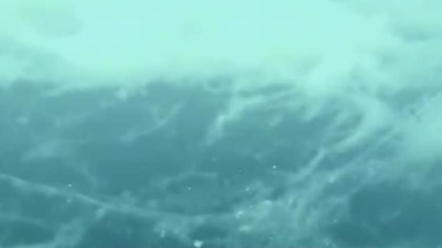 Müsilaj Ege’ye ilerliyor