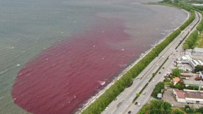 O firmanın kapısına mühür vuruldu